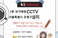 서울 은평구 상가 CCTV 설치, 이거 모르고 달면 돈만 버립니다 "사장님들 지금 확인하세요… CC