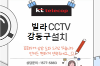 다세대빌라 세대 CCTV 설치 사례